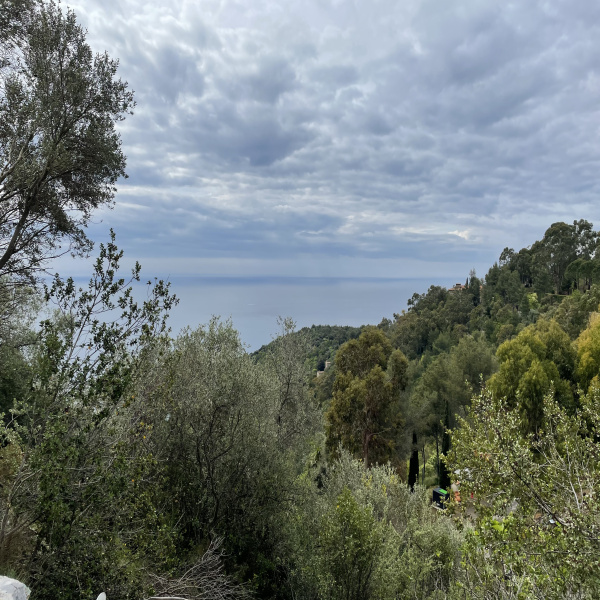Offres de vente Rez de jardin Èze 06360