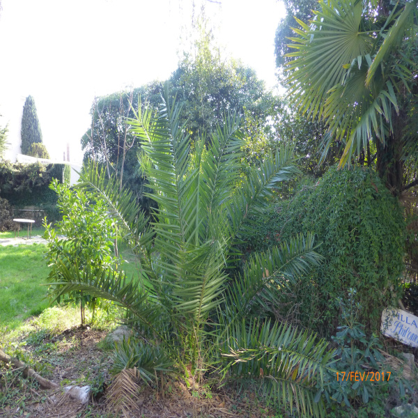 Offres de vente Appartement Nice 06100